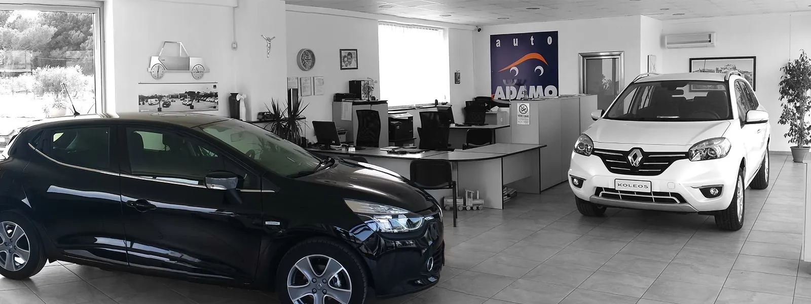 Slideshow-250 Gallery Picture 2