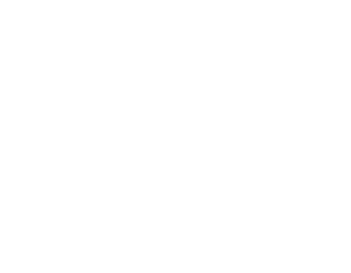 In AutoAdamo offriamo un'ampia gamma di servizi, grazie alla nostra vasta esperienza nel settore delle officine meccaniche.